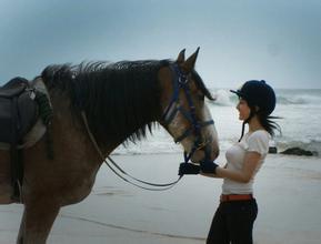 live kuda lari Goyang menyerahkan keputusan kebijakan Federasi Seluncur Es Korea